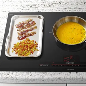 Servicio Técnico Teppanyaki Bosch