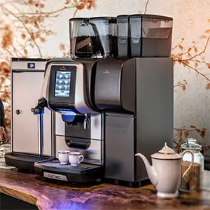 Servicio Técnico Cafeteras Egro One