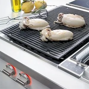 Servicio Técnico Barbacoas Gaggenau