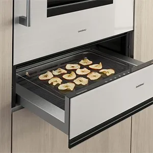 Servicio Técnico Cajones Calentadores Gaggenau