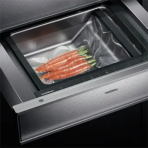 Servicio Técnico Envasadora Vacío Gaggenau