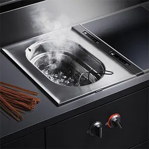 Servicio Técnico Freidoras Integrables Gaggenau