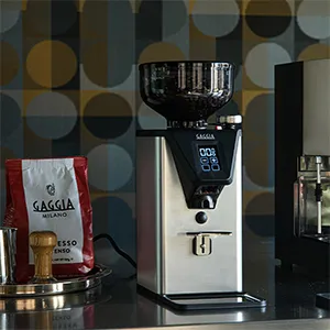 Servicio Técnico Molinillos Gaggia