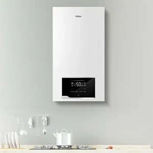 Servicio Técnico Calderas Haier