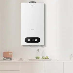 Servicio Técnico Calentadores Haier