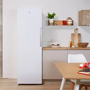 Servicio Técnico Congeladores Indesit