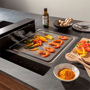 Servicio Técnico Teppanyaki Novy