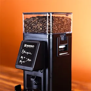 Servicio Técnico Molinillos Style Rancilio