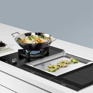 Servicio Técnico Teppanyaki Siemens