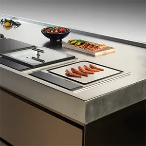 Servicio Técnico Módulo Teppanyaki Subzero Wolf