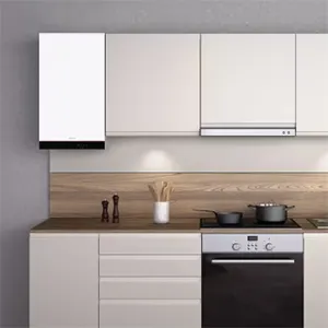 Servicio Técnico Calderas Viessmann